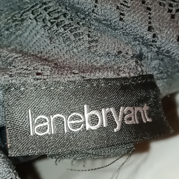 Lane Bryant Grey Lace Dress - Picture 8 of 9